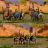 gallery thumb image