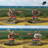 gallery thumb image
