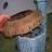 gallery thumb image